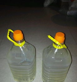 綠色新風(fēng)尚 土豆淀粉餐具與日用品引領(lǐng)廚衛(wèi)生活新選擇